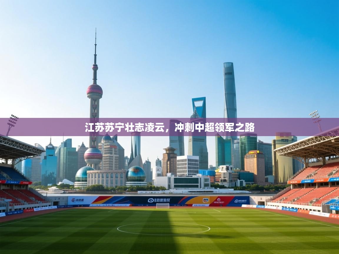 江苏苏宁壮志凌云，冲刺中超领军之路  第2张