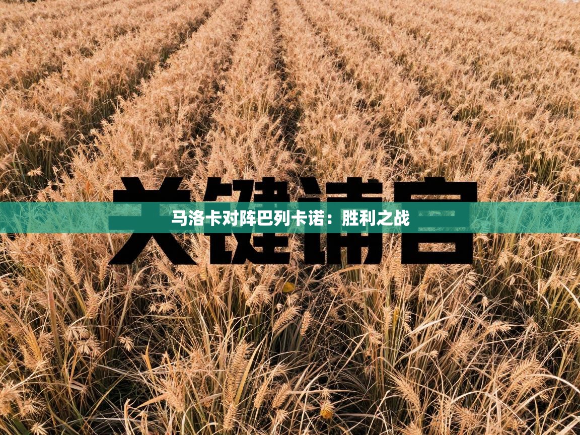 马洛卡对阵巴列卡诺:胜利之战 第2张