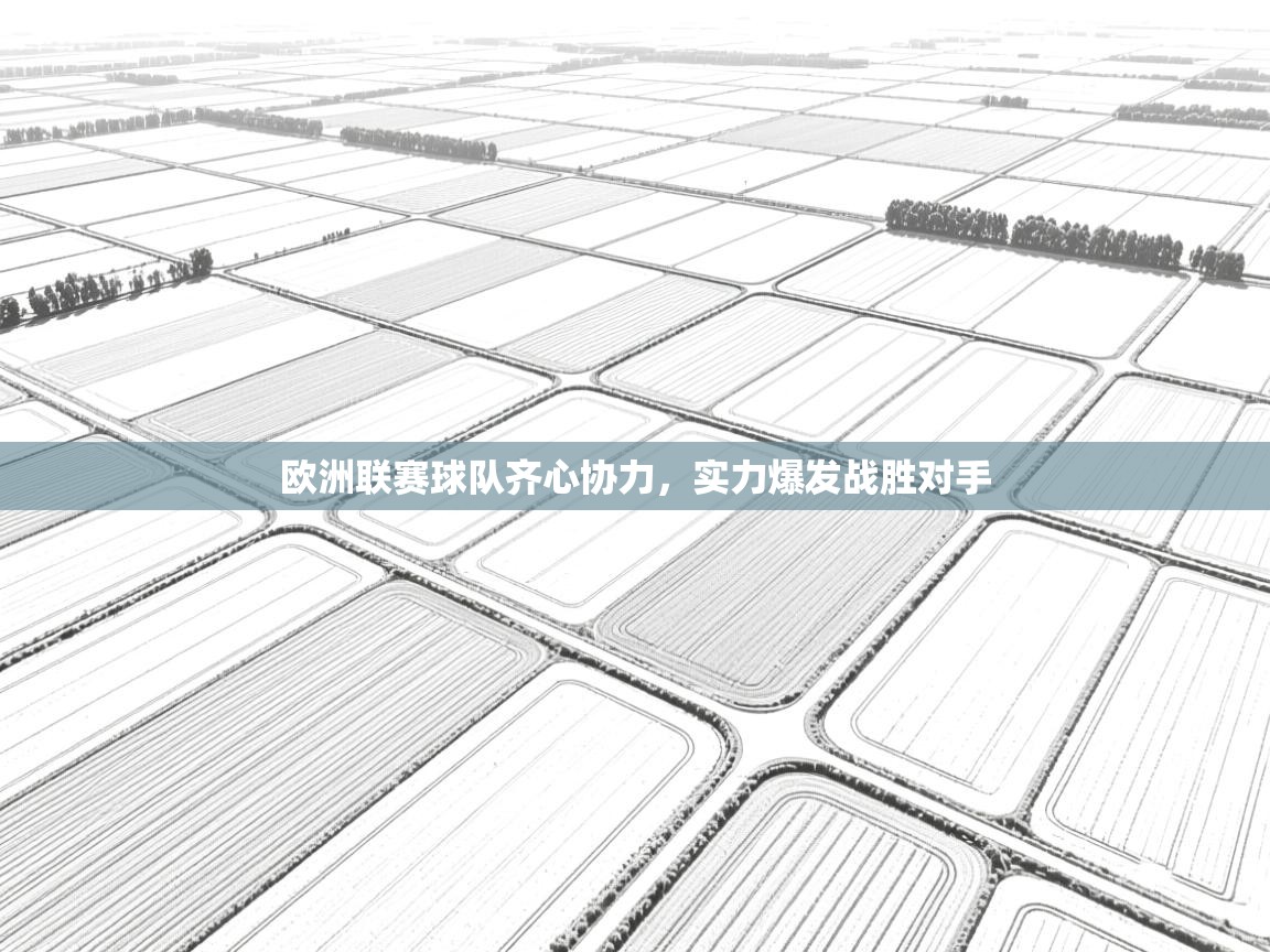 欧洲联赛球队齐心协力，实力爆发战胜对手  第1张