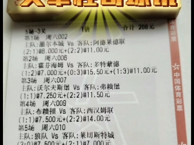 沃尔夫斯堡主场大胜霍芬海姆，稳固积分榜位置