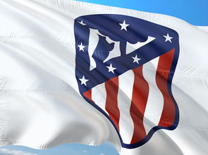 米乐m6官网-马德里德比：皇马10人大战马竞欧冠巅峰对决酣畅淋漓